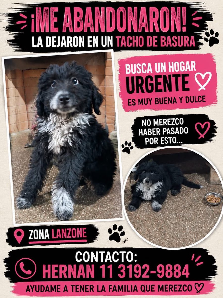 makearggayagain's tweet photo. maltrato animal en san martín: dos mujeres pusieron a un perrito en un tacho de basura en la zona lanzone, lo abandonaron y ahora busca una familia. https://t.co/rZqMPuJqHM