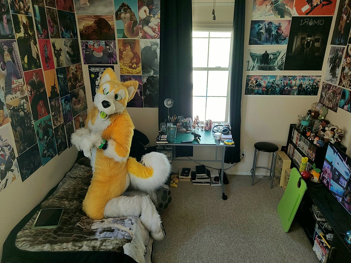 kyoThehusky's tweet photo. He looks so big
#fursuitfriday https://t.co/MXlEZFt9Pk
