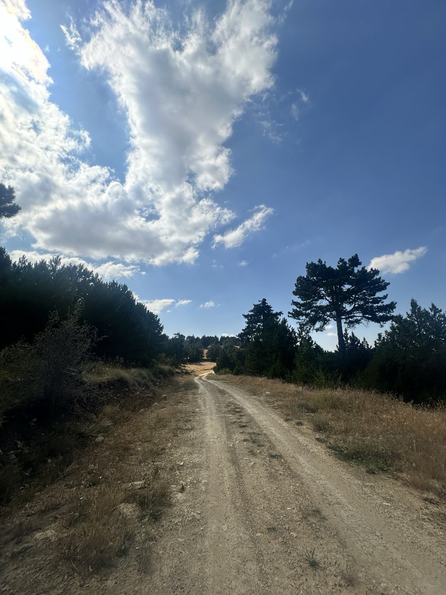 ssncrysf's tweet photo. Bulutlara çıkar sokaklar.. ☁️ 🌳 https://t.co/yedw6RAgos