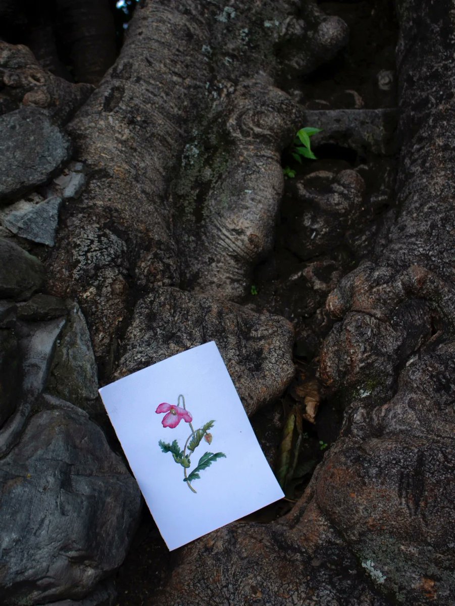 _tini_ring's tweet photo. Want to try a cozy new hobby this weekend Grab a notebook and start doodling simple nature sketches—no skills needed, just have fun! https://t.co/zdNbElgOwl