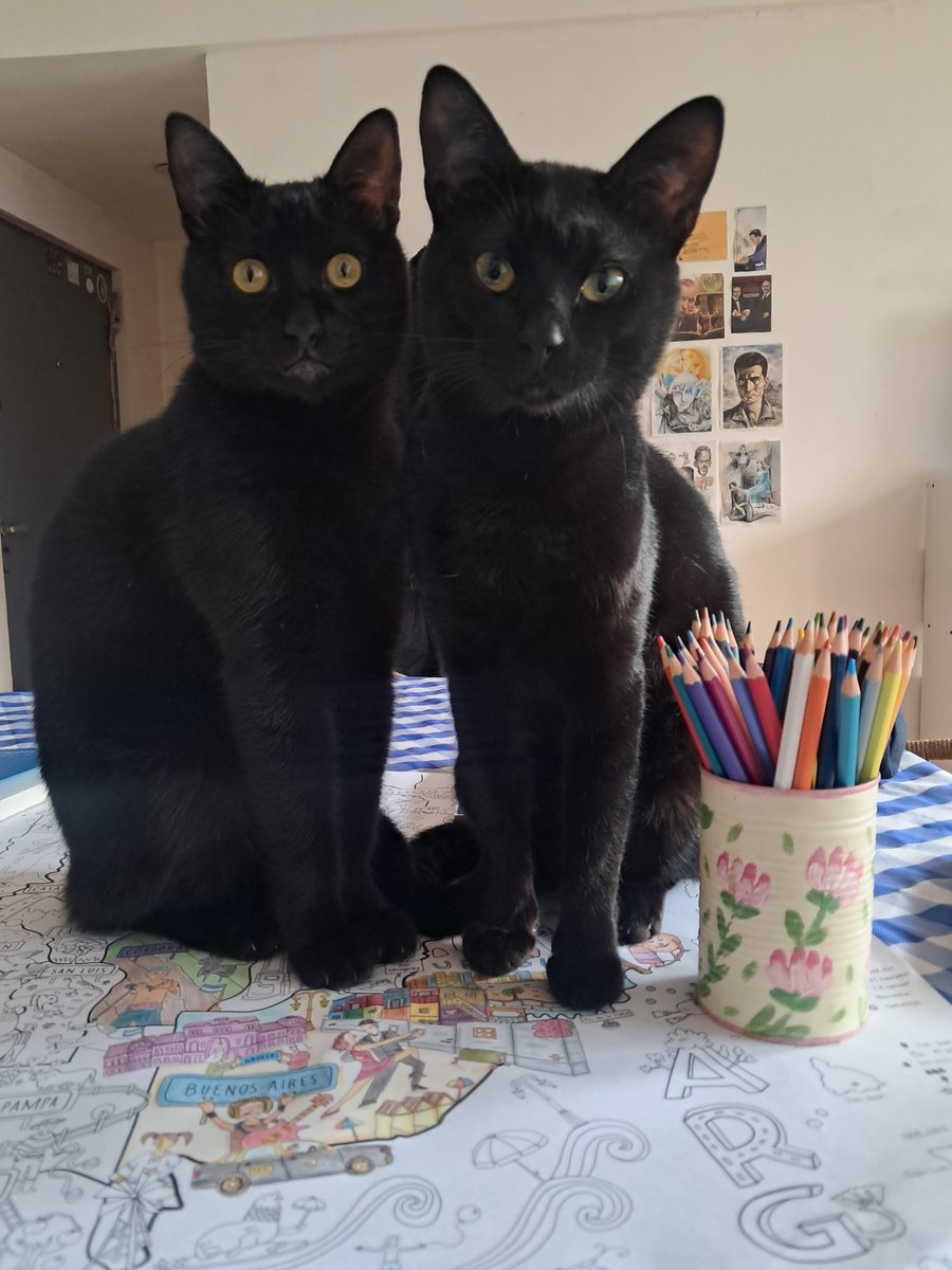 _mdemarlowe_'s tweet photo. hoy en actividades que requieren cero gatos: pintar un mapa https://t.co/Co9hUxETUM
