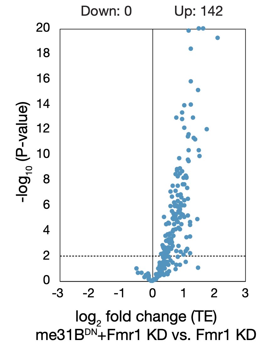 vancityflyguy's tweet photo. Amazingly, translation of the majority of FMRP high-binding mRNAs was rescued when we also inhibited Me31B through expression of a dominant-negative transgene, showing that excessive repression was responsible for diminished translation of FMRP target mRNAs https://t.co/QVvToN3Zq3