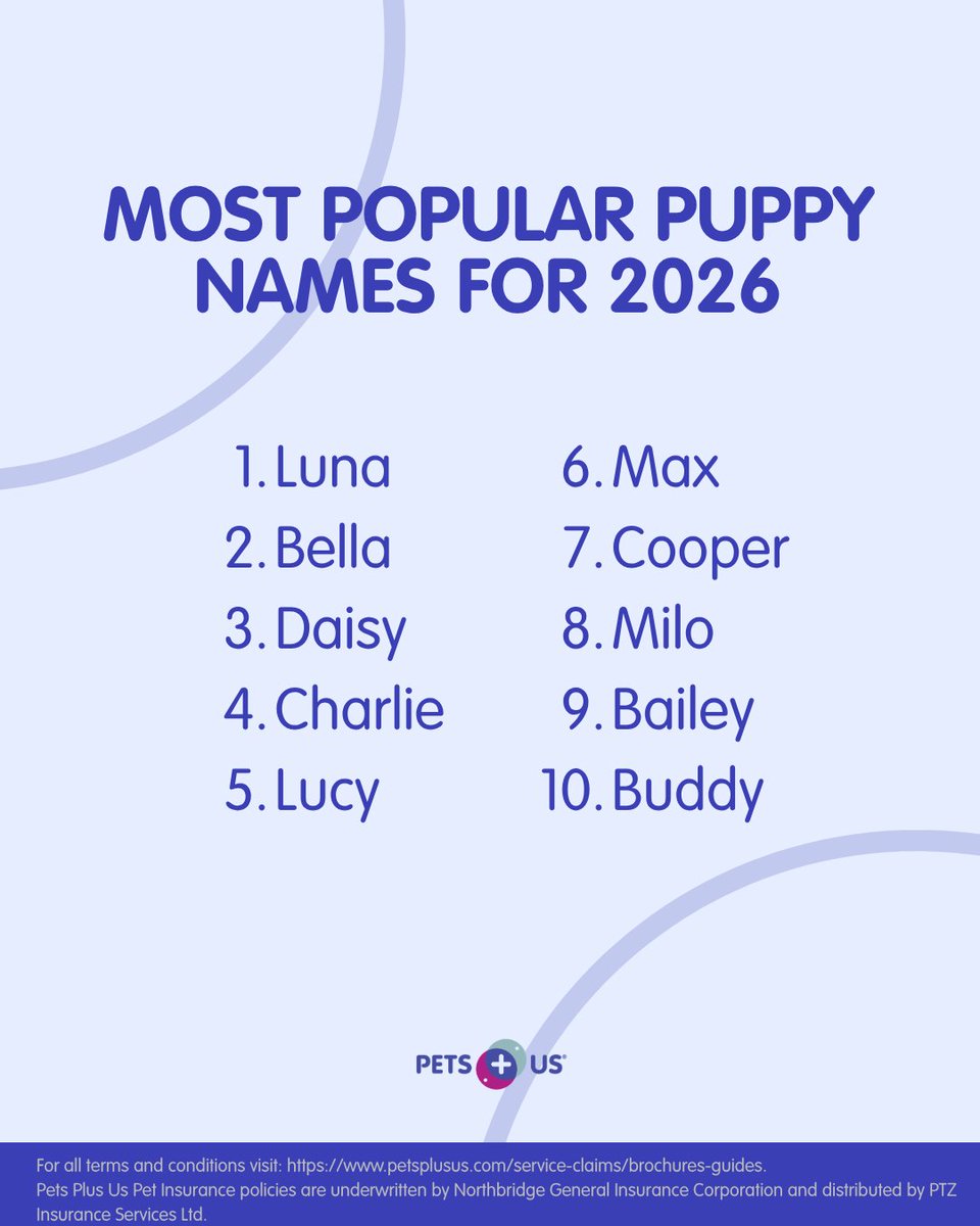 PetsPlusUsIns's tweet photo. Thinking about a new puppy in 2026?

Let's make one thing easier: Insure young for coverage before life’s surprises—and access to our lowest rates: https://t.co/z3Gut2xwmh

[new dog, puppy training, puppy, rescue dog, dog adoption] https://t.co/dbOTYt42RZ