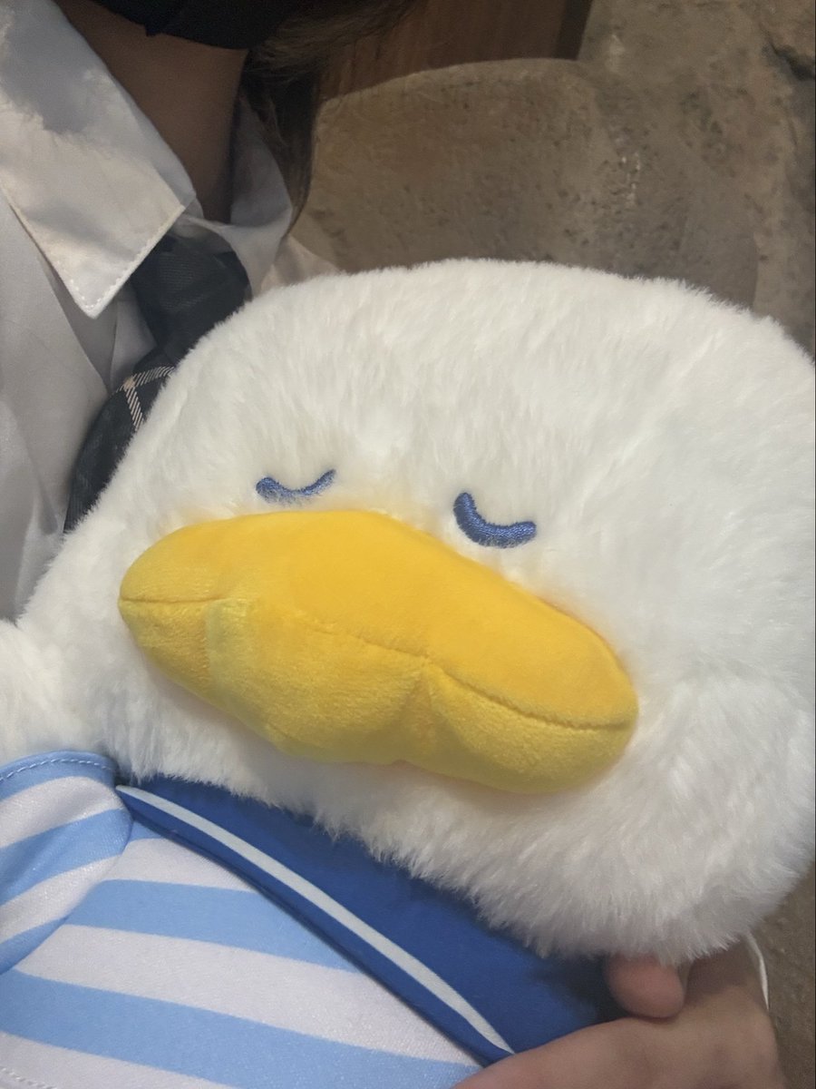 Moon_hpfr's tweet photo. このペックルさんが可愛すぎてずっと抱っこしてる😭 https://t.co/XshGLeNNJN