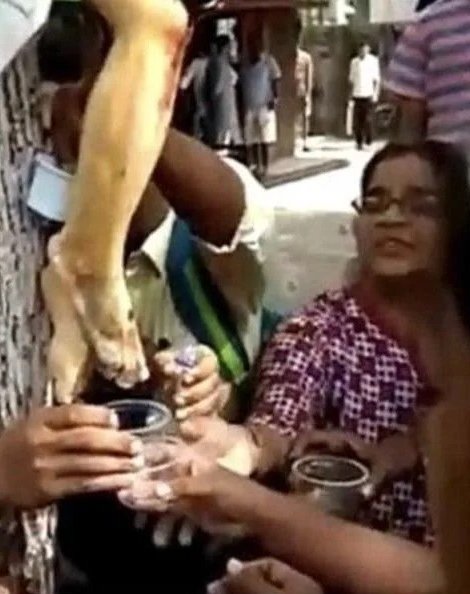 AcervoCharts's tweet photo. Em 2012, centenas de pessoas beberam a água que escorria de uma estátua de Jesus acreditando ser um milagre. Depois, descobriram que ela vinha do esgoto. https://t.co/Twhx9uInoR