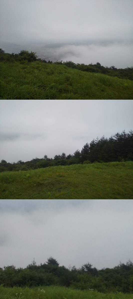 MingoDesuto's tweet photo. ここから二日目
遠野市　高清水展望台
午前六時過ぎ。
雲海に霞む遠野市街。
野生？の鹿と遭遇。
有名なホップ畑とか。 https://t.co/p8AKh5qNlB