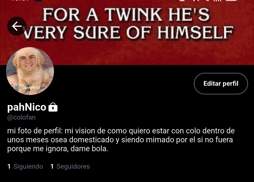 Vel ✨🇦🇷 tweet media