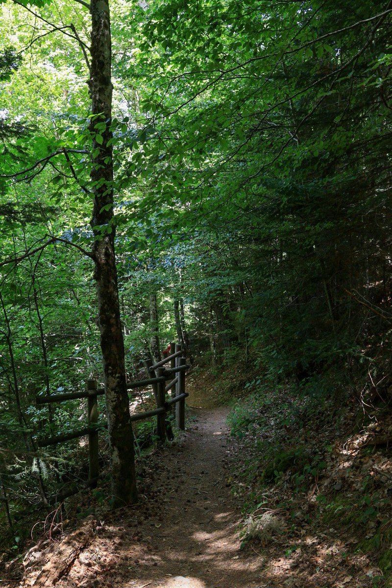 Irenemate's tweet photo. #Canfranc #Melancolicos #Picauve https://t.co/FshSz1Rg4t