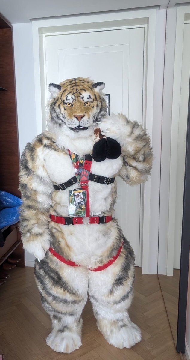 TigerBancho's tweet photo. #Awoostria https://t.co/fzVEsLB6Mc