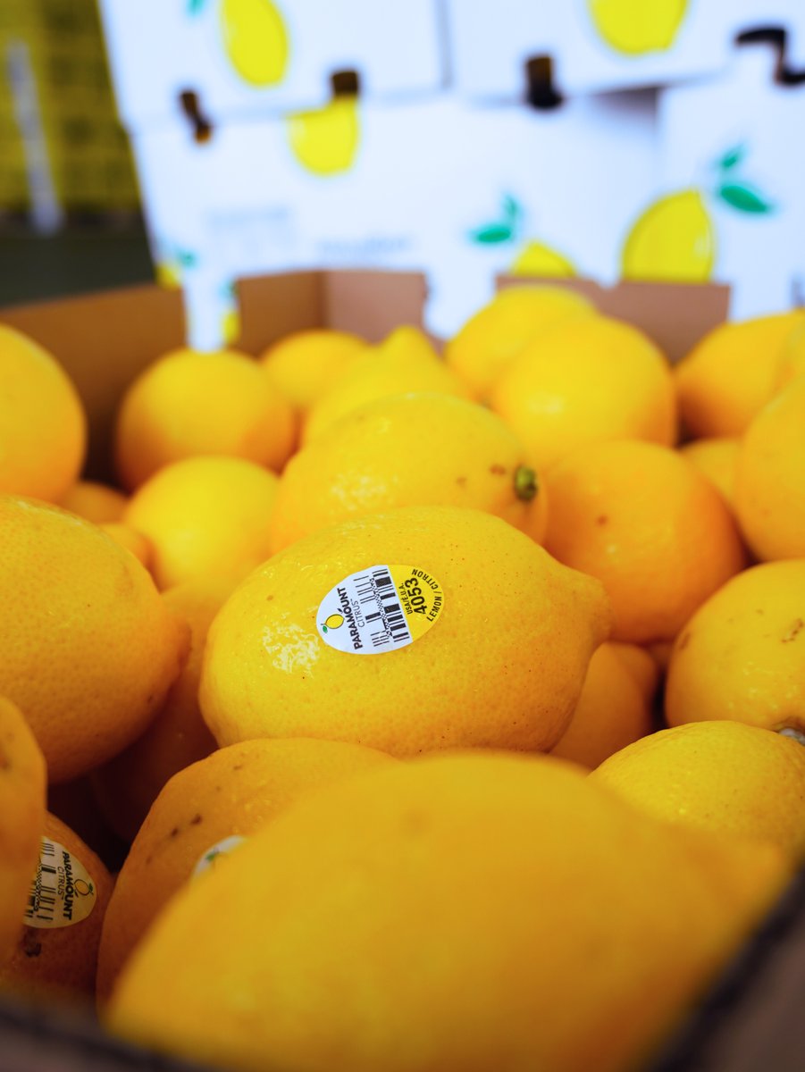 KimballProduce's tweet photo. Around here, lemons will always have a special place with us.🍋Exceptional quality, vibrant color, and a premium appearance are what make this citrus program one we'll never get tired of talking about. #Lemons #Citrus #FreshProduce https://t.co/i6ht94TSDP