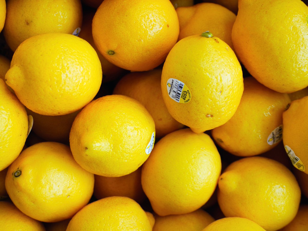 KimballProduce's tweet photo. Around here, lemons will always have a special place with us.🍋Exceptional quality, vibrant color, and a premium appearance are what make this citrus program one we'll never get tired of talking about. #Lemons #Citrus #FreshProduce https://t.co/i6ht94TSDP