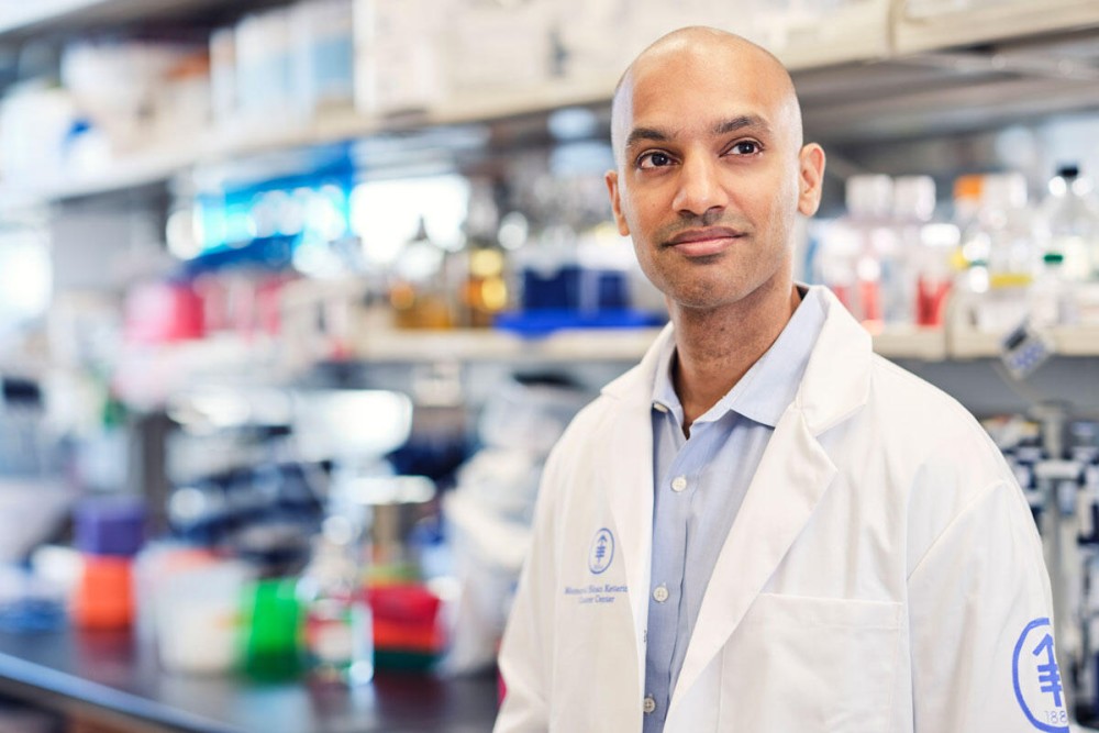 MSKCancerCenter's tweet photo. A major challenge in cancer #immunotherapy is #Tcell exhaustion, when the immune system's cancer-fighting cells become too fatigued to keep attacking tumors.

New research from the lab of Dr. @SantoshVardhana at MSK has identified a key signaling molecule, #MEK, that helps drive this exhaustion. The findings suggest that blocking MEK could help T cells stay active longer and enhance the effectiveness of immunotherapy.

“A tragic part of T cell exhaustion is that the immunotherapy seems to be working for patients, and then it fades,” says Dr. Vardhana, an MSK physician-scientist who treats people with lymphoma. “Many of them experience a brief wisp of promise only to have it taken away.”

Even more promising is that FDA-approved MEK inhibitors already exist, potentially accelerating the path to clinical testing and improved patient outcomes. “We’re excited about applying this finding to enhance multiple forms of immunotherapy,” Dr. Vardhana says. 

Read more about how this insight into T cell exhaustion could lead to new ways to boost the effectiveness of immunotherapy: https://t.co/Kcr1YB84Mp