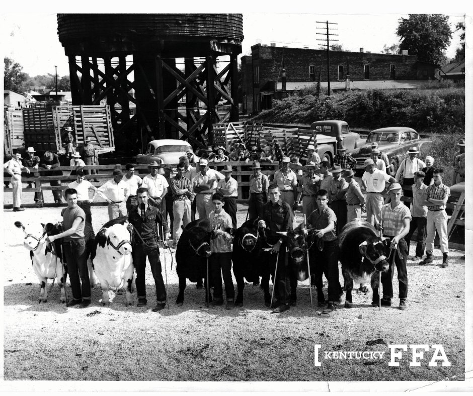 KentuckyFFA's tweet photo. 📸 Pictured: Joe McCarty (second from left) showing cattle in 1957. Today, he's giving back by establishing a Forever Blue Endowment to permanently support Kentucky FFA's Livestock Judging CDE. Read more: https://t.co/dtnWalBmsj #KYFFA https://t.co/uWHUoNA20h