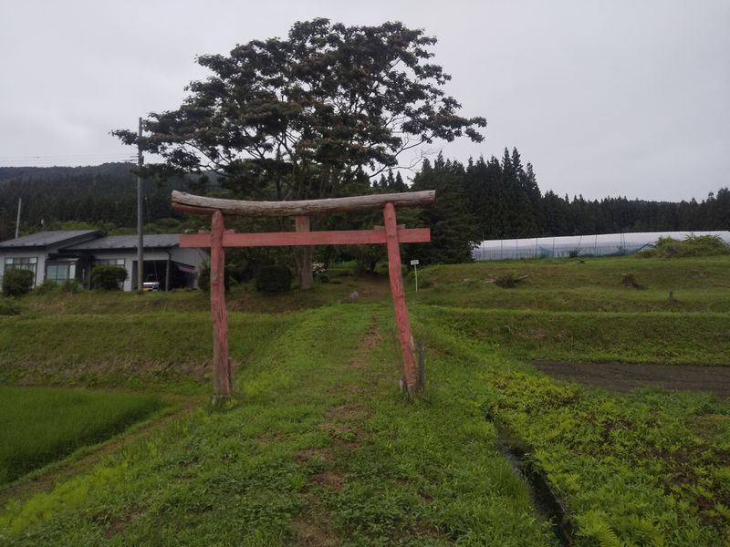 MingoDesuto's tweet photo. 遠野市綾織町
羽黒堂と羽黒岩にいたる道
ここから400ｍあるらしいので断念。
天狗に蹴られて欠けたという羽黒岩。
下駄のモニュメントは最近のものかな。 https://t.co/3q0LwLfW79