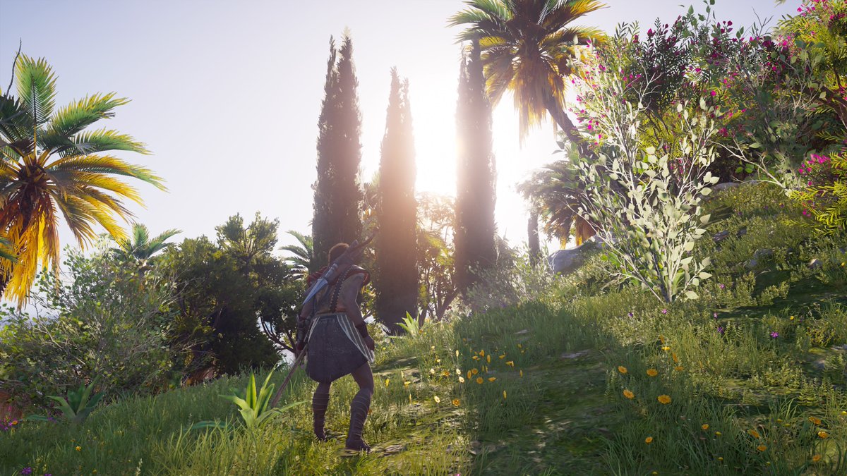 bustedrealquick's tweet photo. Assassin's Creed Odyssey📸 https://t.co/cJHyJMCT0V
