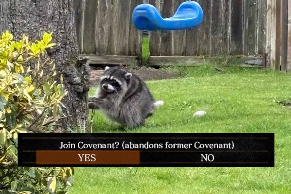 PraiseTheFrom tweet media