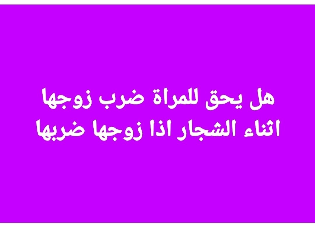 ألو أنا القطة tweet media