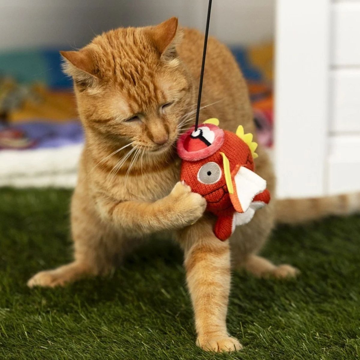 Dexerto's tweet photo. Pokémon's sold out Magikarp cat toy is already being scalped for up to $129.99 on eBay

Several have already sold for more than four times the retail price https://t.co/wwC1ESHEB1