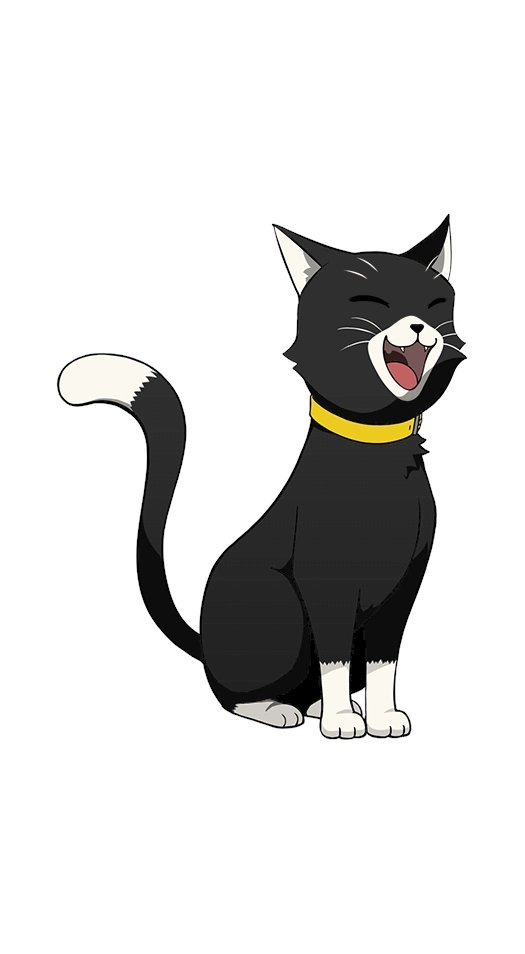 okq4iu's tweet photo. P5T MORGANA YOU ARE SO CUTE I LOVE YOU AWWW https://t.co/Q86xxMN7xn