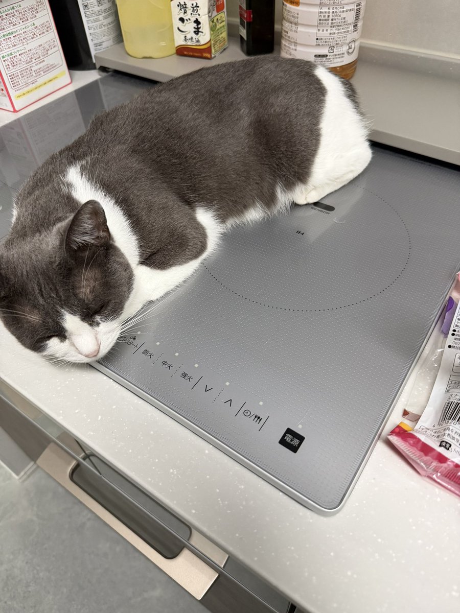 oyuki2491's tweet photo. 毎日IHの上にいる猫の安全のためカバー設置！安心！
(できれば毛だらけになるからいてほしくないけどw)(料理始める時毎回拭き掃除から始めるの地味にしんどいw) https://t.co/SsAB5YP9jG