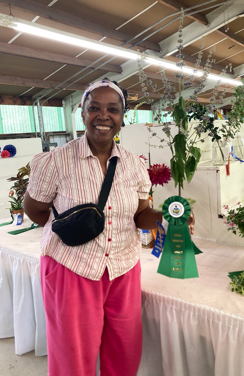 MHJGardenDesign's tweet photo. I'm excited to announce that my #chastetree, which valiantly survived the winter & April cold snap, won #bestofshow for #floweringtrees at the Adams County #SouthMountainFair!๐
Here it is in full bloom & visit #MHJFlowerShop in Gettysburg to find cuttings in our floral designs. https://t.co/y3GejafAmf