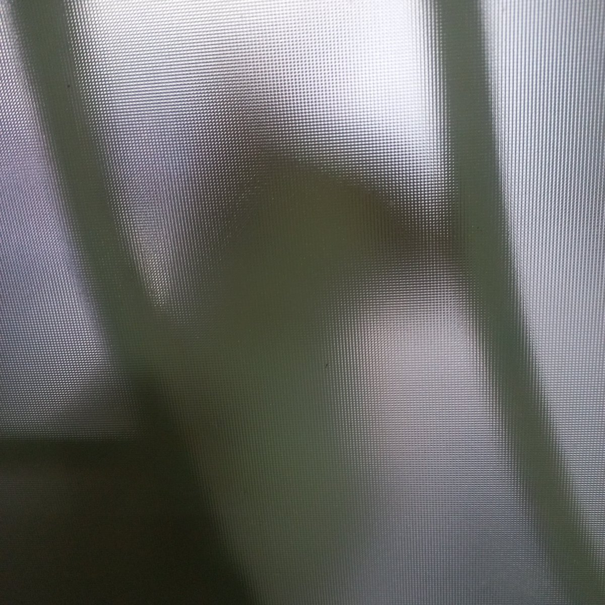 liesofmoon's tweet photo. jumpscare https://t.co/qJQj4cyhpH