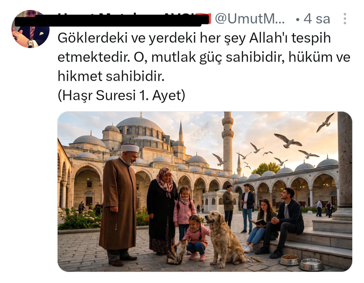 NiluferSabuncu's tweet photo. Yakında, domuzcanlarını da cami bahçesinde yemlenirken resmedebilecek bir damar var, hep olacak ⬇️

Tıpkı zamanında kedi-köpeklere yaptıkları gibi...

Dini açıdan, kedi, köpek, domuz idrarının farkı yoktur, necs sayılır. 

Diğer ilahi dinlerin ibadethanelerine ise hayvanlar ASLA yaklaştırılmazlar. 

@diyanetbasin @TC_icisleri