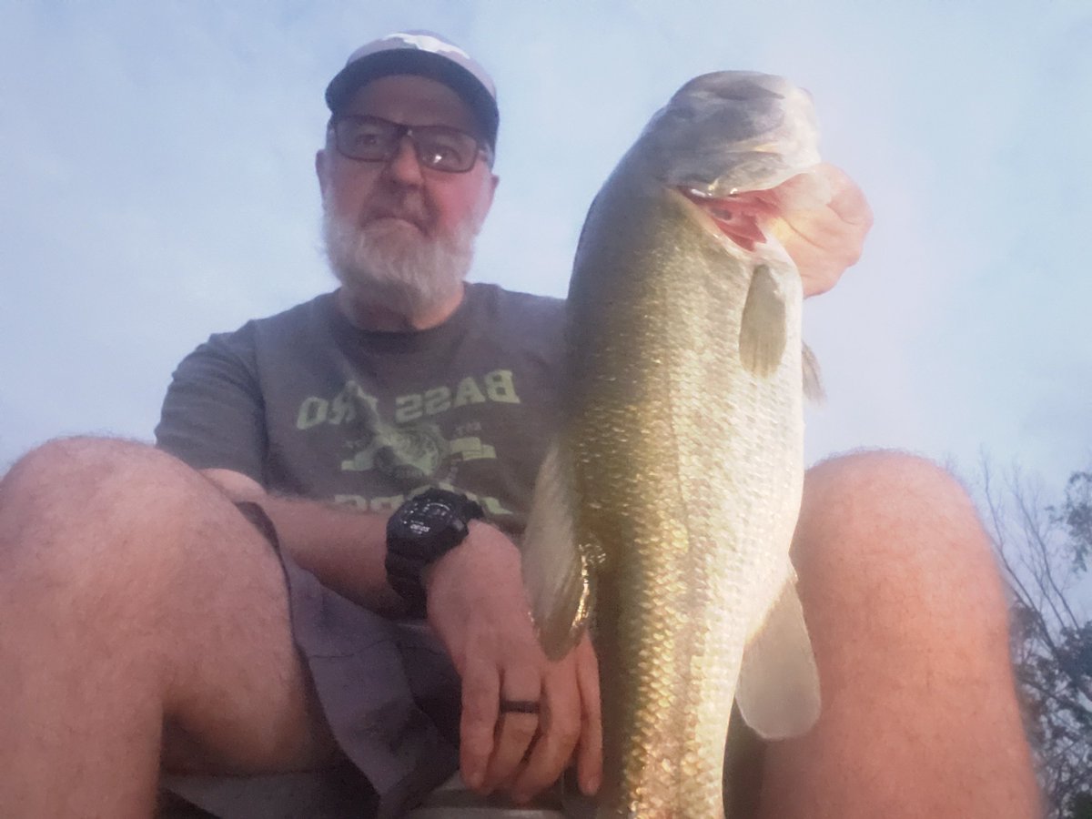 FrogginDirty's tweet photo. A few fish from my last couple of outings. https://t.co/ErPQMzdkrI