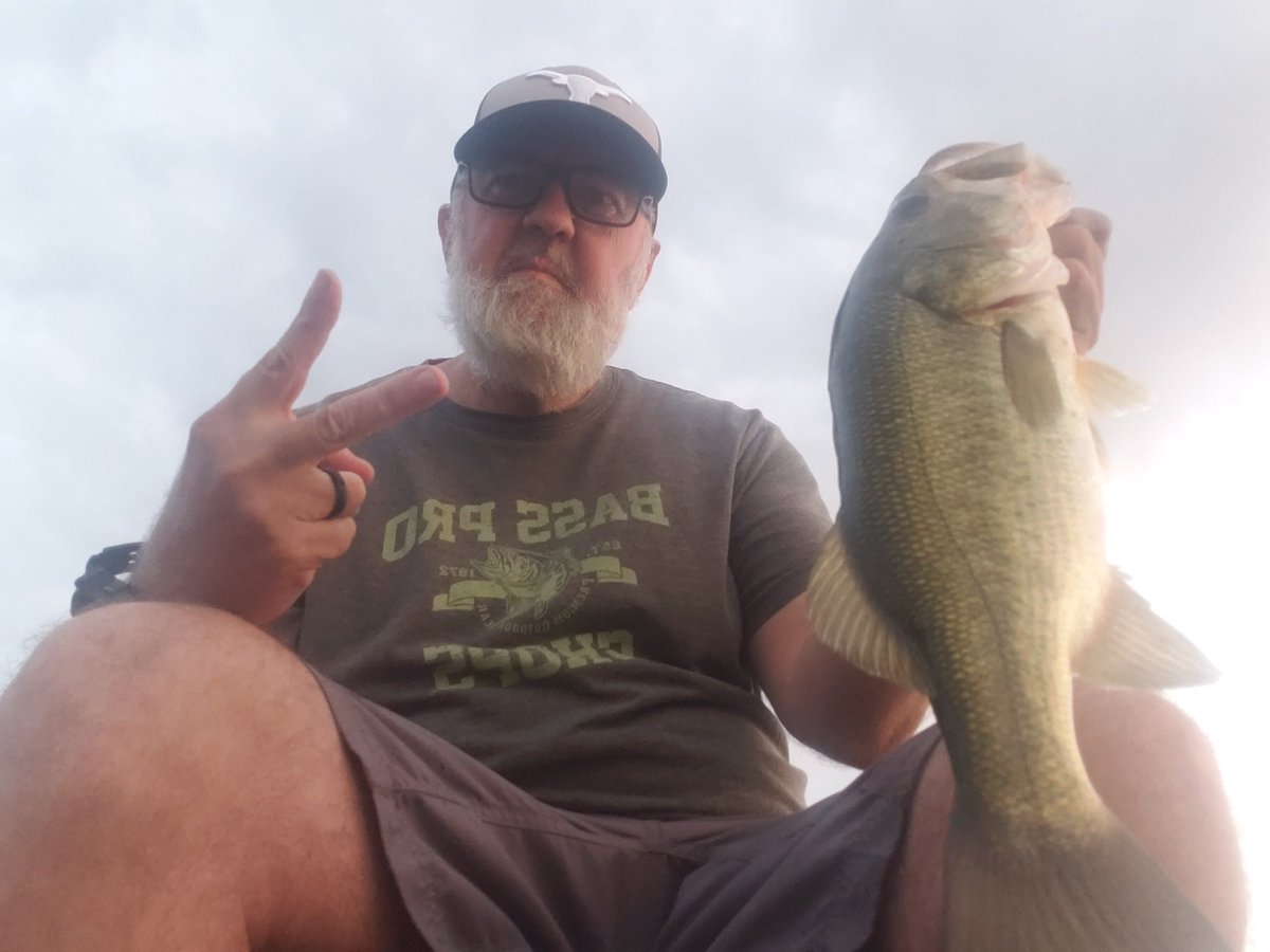 FrogginDirty's tweet photo. A few fish from my last couple of outings. https://t.co/ErPQMzdkrI