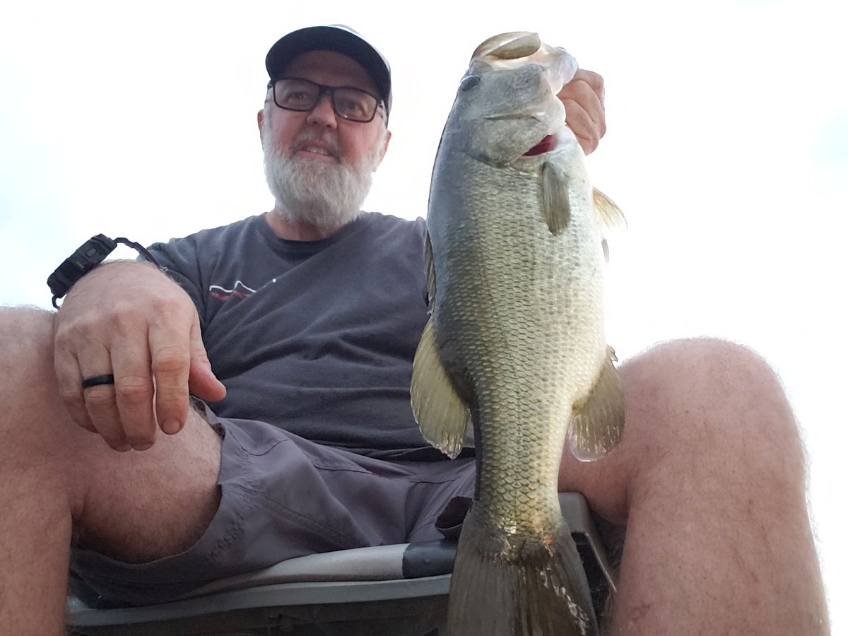 FrogginDirty's tweet photo. A few fish from my last couple of outings. https://t.co/ErPQMzdkrI