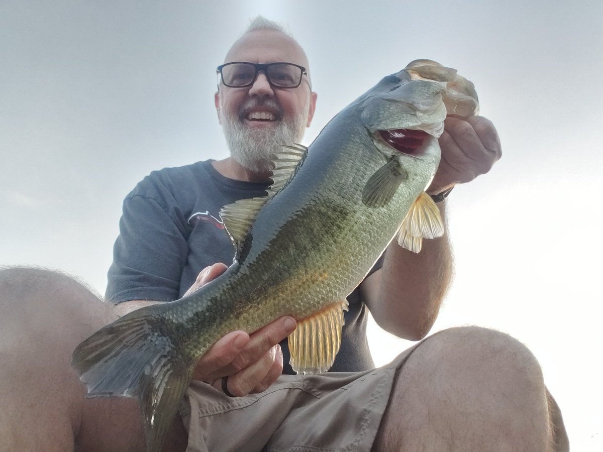 FrogginDirty's tweet photo. A few fish from my last couple of outings. https://t.co/ErPQMzdkrI