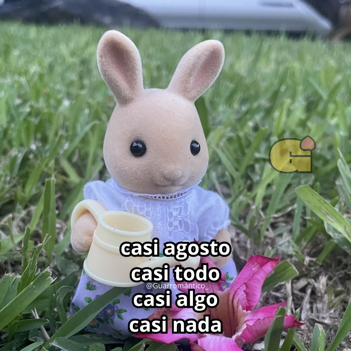 Guarromantico_'s tweet photo. Casi. https://t.co/DcEj0mljJj