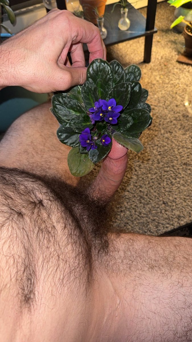 plantdaddy_mnn's tweet photo. Plant daddy caring for his babies 😏💦

#gay #plantdaddy #hairy #cock #cum 

https://t.co/48eFVv96SG https://t.co/2c61hoEvNe