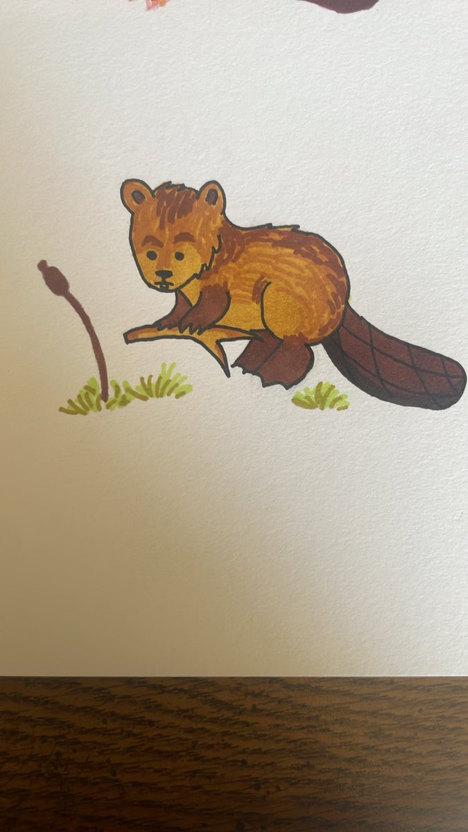 sawsomerj's tweet photo. fuck you. beaver https://t.co/ayDpXgUo5M