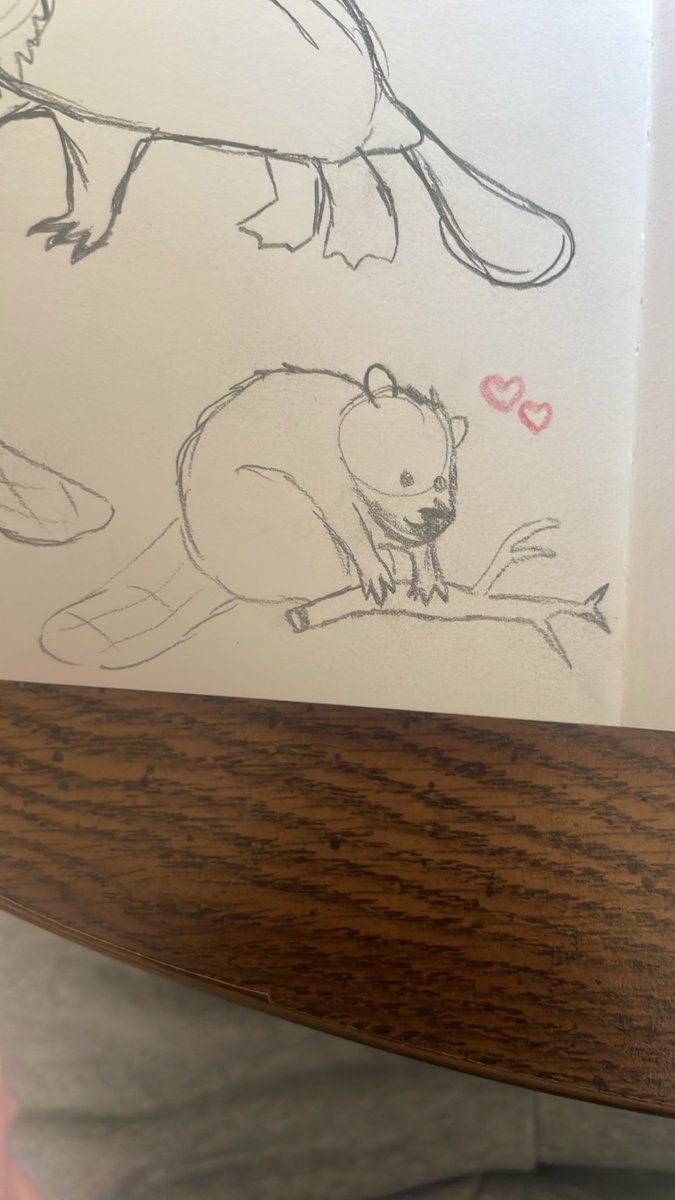 sawsomerj's tweet photo. fuck you. beaver https://t.co/ayDpXgUo5M