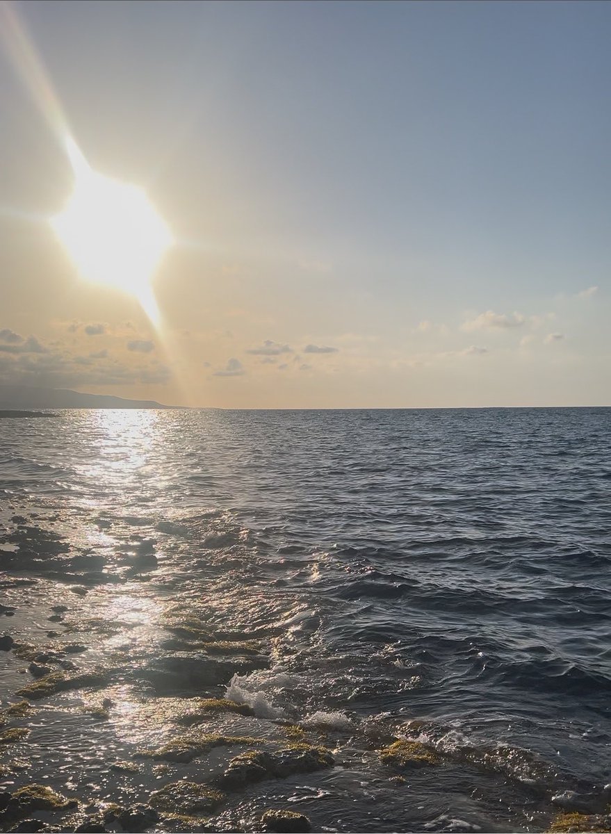 Doctor_flona's tweet photo. علي سبيل الراحة النفسية جلسة قدام البحر وقت غروب الشمس. . تسوى الدنيا ومافيها 🧡 https://t.co/9fc2JhsNeF