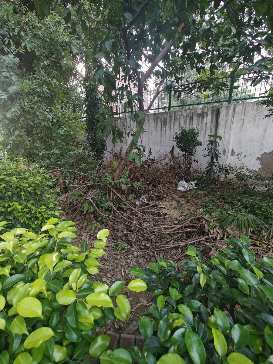 BorarNitendra's tweet photo. @MCD_Delhi @OfficialEdmc @DelhiPwd 
Visuals from a public park in New Rajdhani Enclave, Vikas Marg Delhi.

Just months back a snake was spotted few 100 MTRS from this park from a similar dump. 
Even the RWA is sleeping on it.
Kindly get this cleared ASAP.

Loc 28.643708,77.293884 https://t.co/7uguS7UpHu