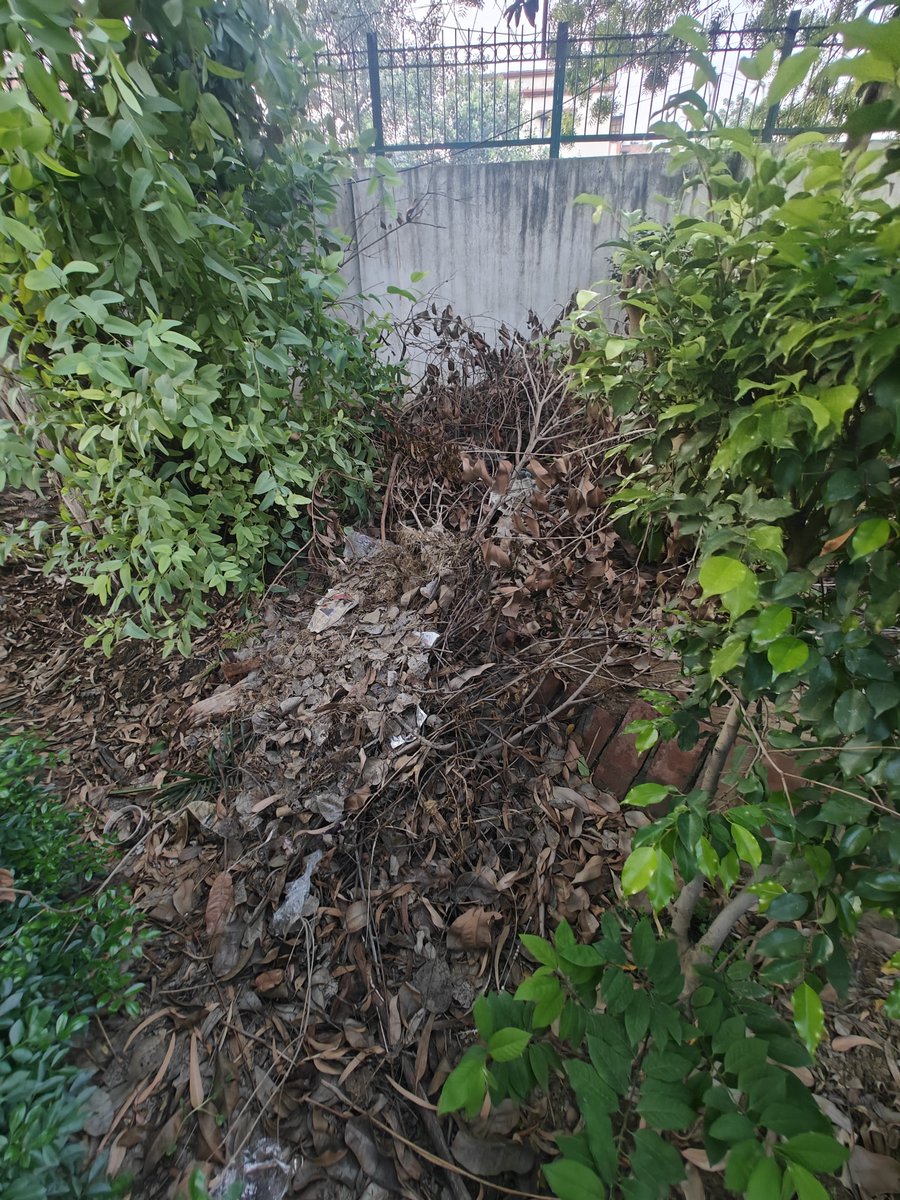 BorarNitendra's tweet photo. @MCD_Delhi @OfficialEdmc @DelhiPwd 
Visuals from a public park in New Rajdhani Enclave, Vikas Marg Delhi.

Just months back a snake was spotted few 100 MTRS from this park from a similar dump. 
Even the RWA is sleeping on it.
Kindly get this cleared ASAP.

Loc 28.643708,77.293884 https://t.co/7uguS7UpHu