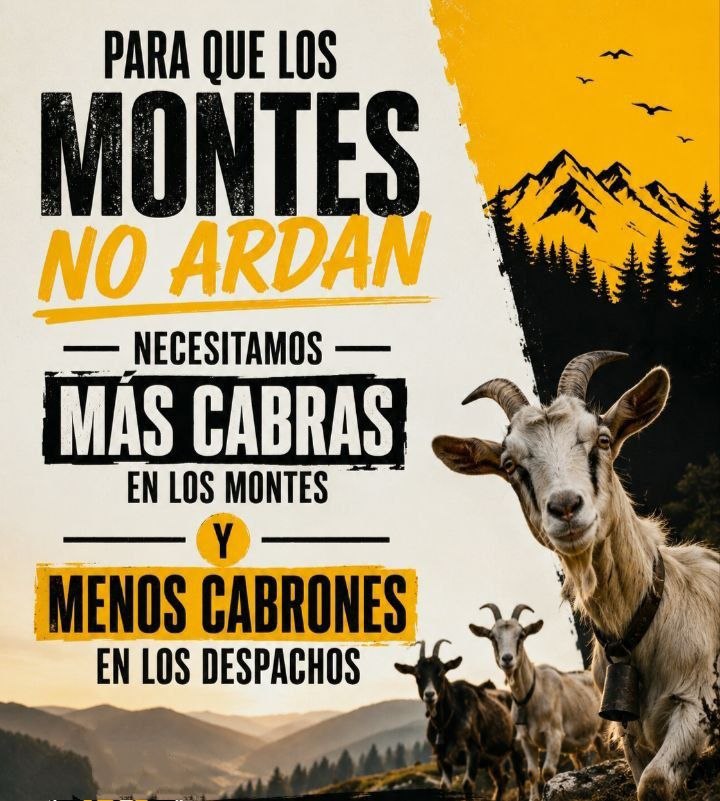 Nela__Torres's tweet photo. @Doct_Tricornio @Nostrazone https://t.co/raPvz1Skpo