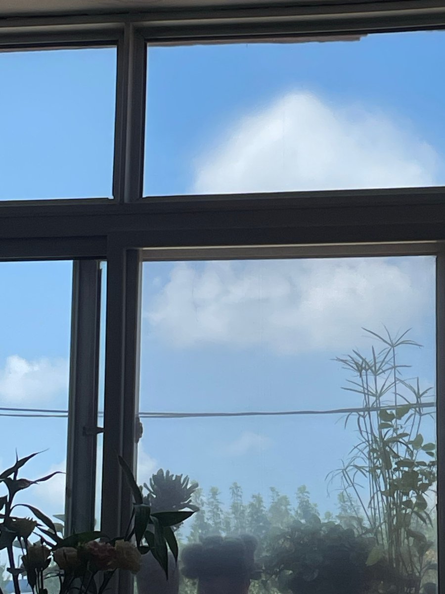 KandyRapkovmq's tweet photo. Checked off the last pending task on my to-do list—sunshine hits my desk right as I hit save, perfect little win for the day. https://t.co/1ThRkbchhE