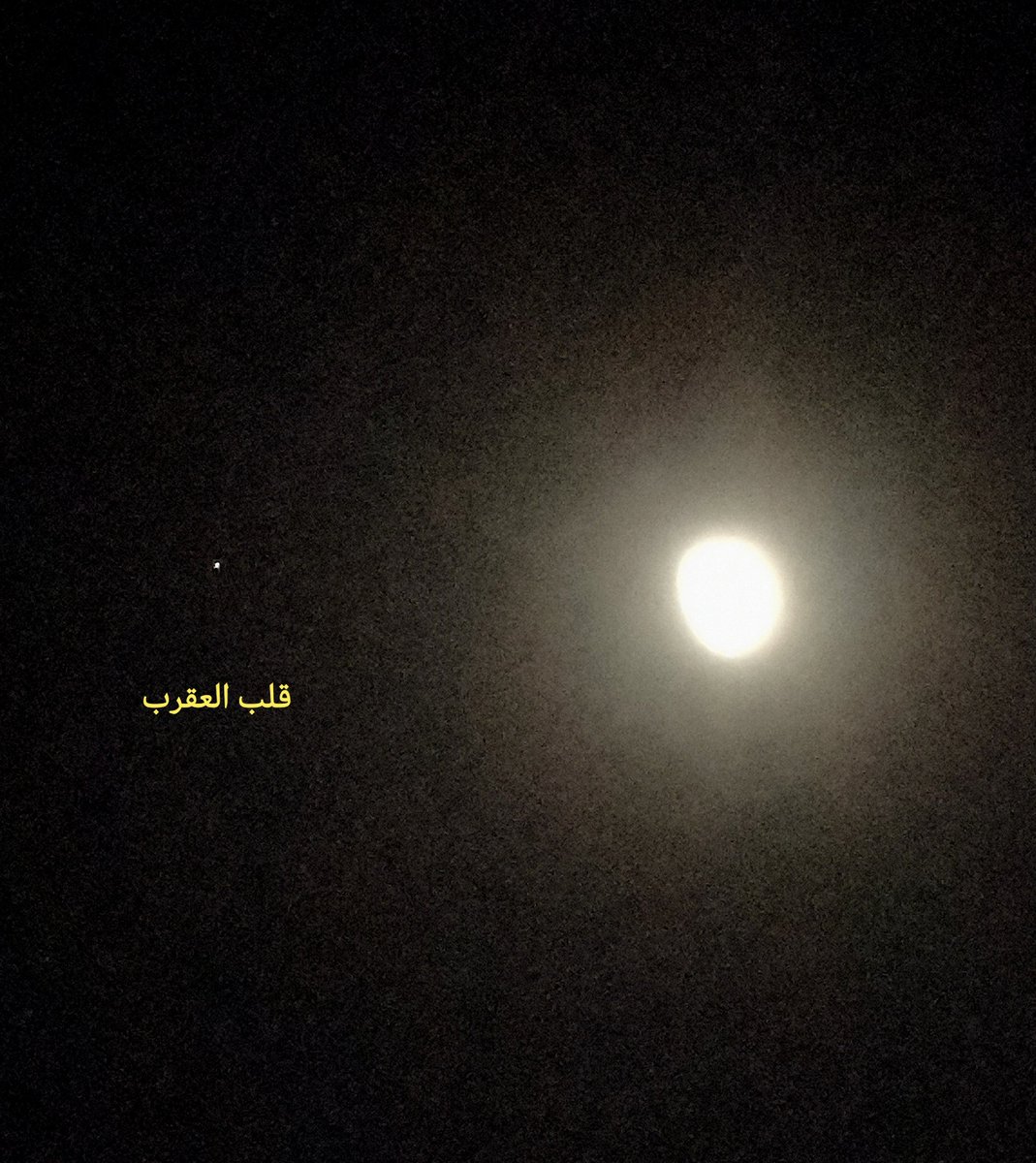 Khaled_skf's tweet photo. شاهد الآن إقتران #القمر #Moon مع نجم #قلب_العقرب #Antares في #برج_العقرب #Scorpius ليلة #السبت ١١ #صفر ١٤٤٨ هجري الموافق ٢٥ #يوليو ٢٠٢٦م https://t.co/t5EtXQlMBC