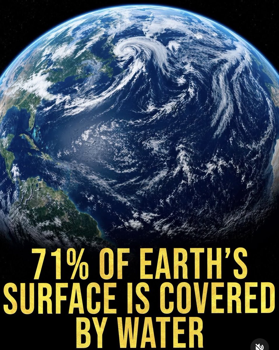 MissBen_gh's tweet photo. 🌿 Eco Facts Friday Series 

💧 Did you know? Water covers about 71% of Earth's surface, yet only about 3% is freshwater. Even more surprising, less than 1% of that freshwater is readily available for human use. https://t.co/9bnBPVaFaE