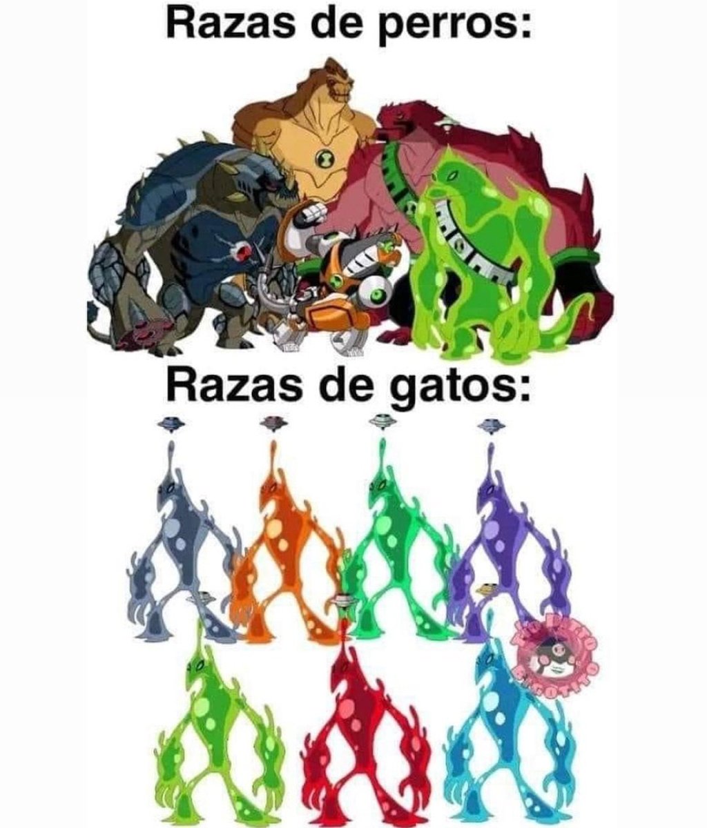 Alphaar0's tweet photo. ¿Team perros o Team gatos? https://t.co/sle2KACv1h