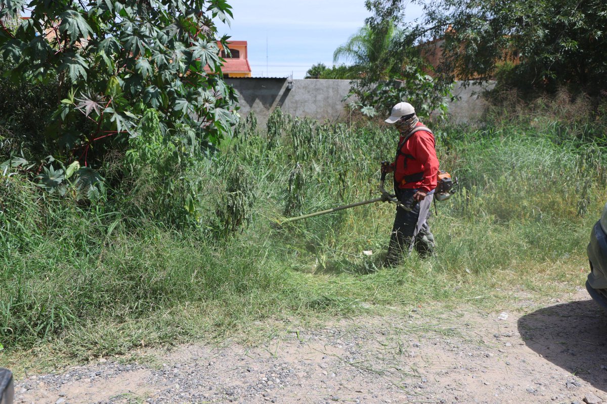 SLPMunicipio's tweet photo. 🌿 Recuperar nuestros espacios es construir una mejor ciudad.

Con trabajos de limpieza general y mantenimiento en la colonia Garita de Jalisco, seguimos mejorando el entorno para que las familias disfruten de espacios más limpios, seguros y funcionales. 🤝

#SanLuisAmable https://t.co/JHILgRGs1l