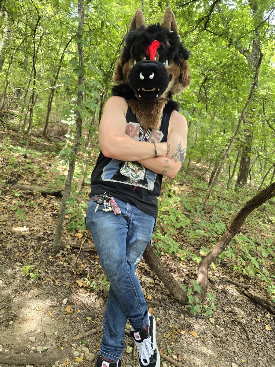 AlpineGShep's tweet photo. Dog at the park 🐶
Happy #FursuitFriday https://t.co/1YkoQt7p3g