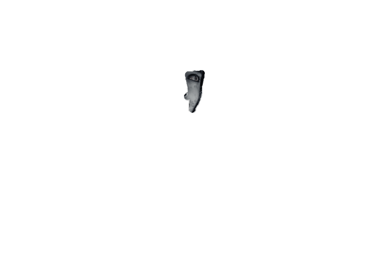 horace0816's tweet photo. What are you looking at? https://t.co/ogzLNe4r0b
