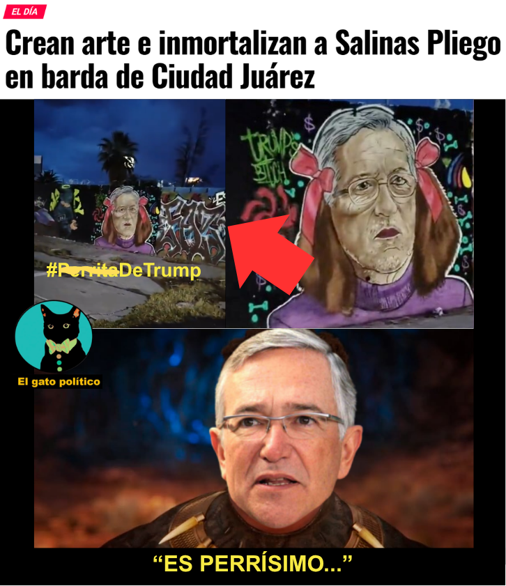 elgatopolitico_'s tweet photo. 🔴​🔴No sean así con Salinas Pliego.
#LaPerritaDeTrump https://t.co/pyxGg8Pmnc