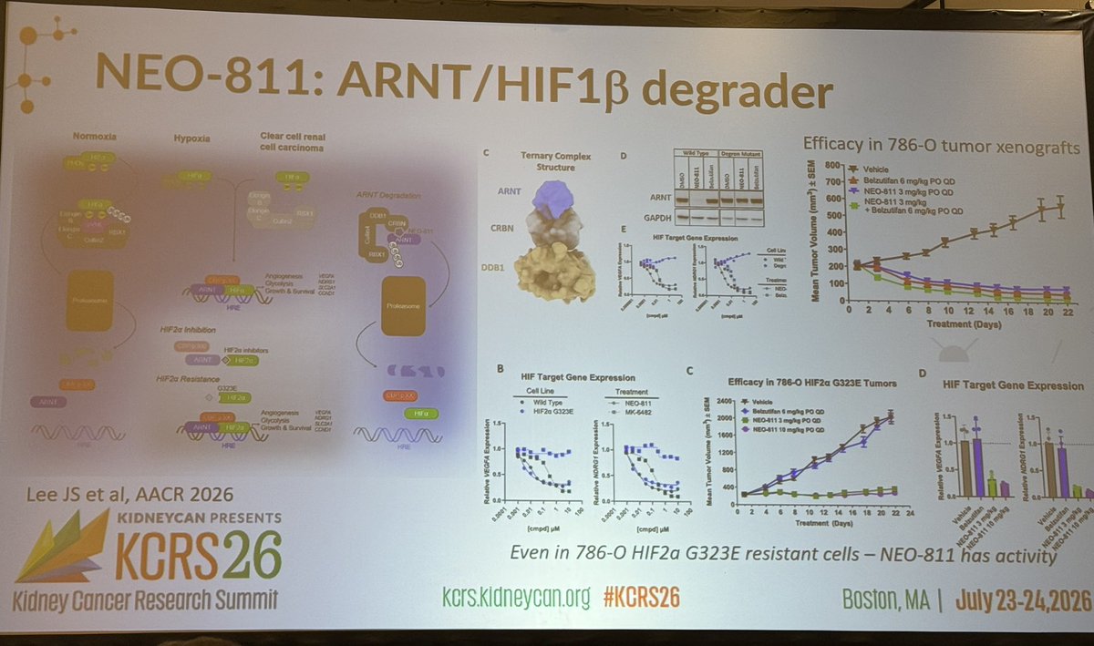 Katy Beckermann (@katy_beckermann) — KCRS26 slide 2 of 3