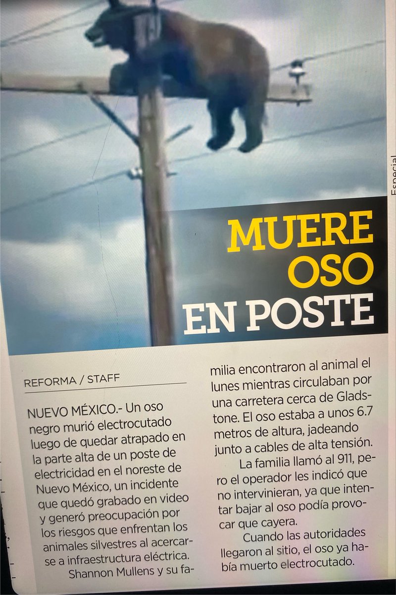 cpgarcieral's tweet photo. #DeHoy
NO es inteligencia artificial https://t.co/0oOuCMcVYL