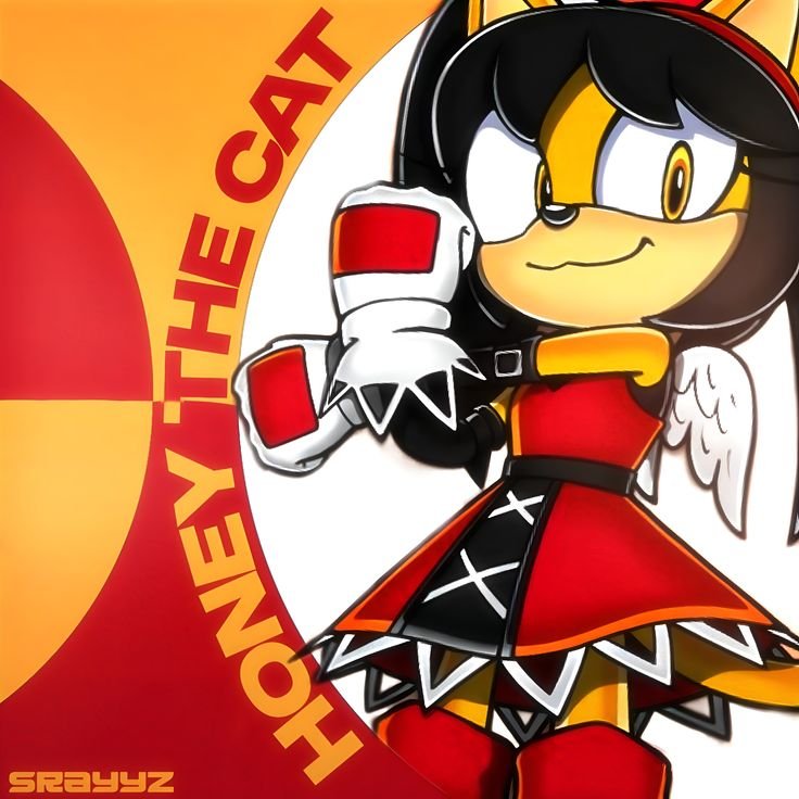 Srayyzexe's tweet photo. Honey 🍯
#honey #honeythecat #sonic #sonicart #sonicdesign https://t.co/Kihk5FqXhA